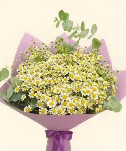 Flowers & Gifts Delivery Amman Jordan