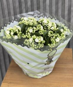 Flowers & Gifts Delivery Amman Jordan