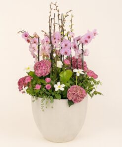 Flowers & Gifts Delivery Amman Jordan