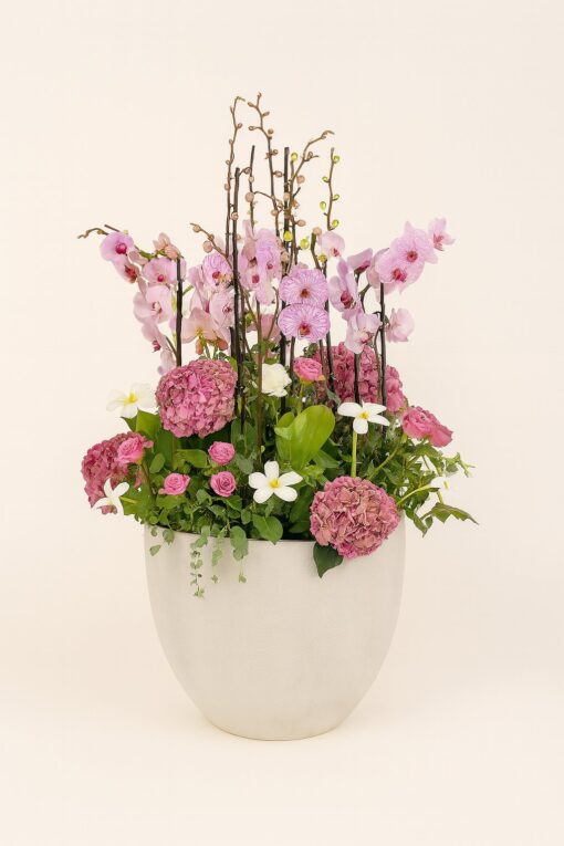 Flowers & Gifts Delivery Amman Jordan