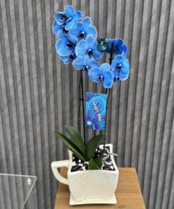 Flowers & Gifts Delivery Amman Jordan