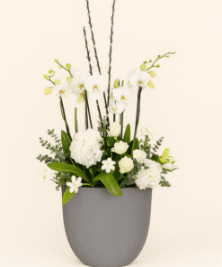 Flowers & Gifts Delivery Amman Jordan