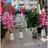 Flowers & Gifts Delivery Amman Jordan