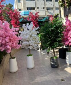 Flowers & Gifts Delivery Amman Jordan