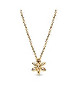 Necklaces & Gifts Delivery Amman Jordan