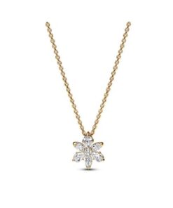 Necklaces & Gifts Delivery Amman Jordan